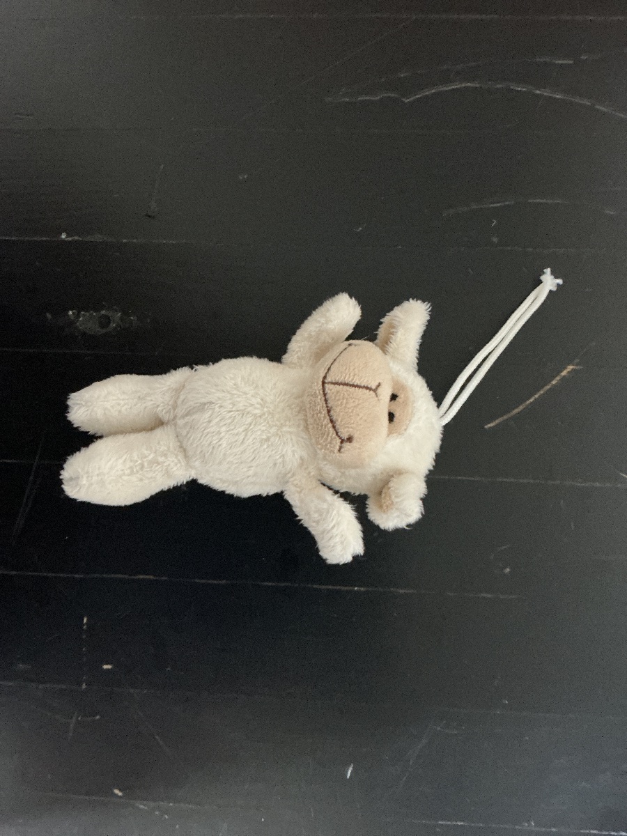 Stofftiere Set: Hase, Teddy, MarienkäferSchäfchen 3