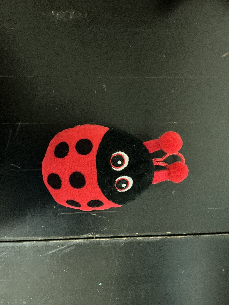 Stofftiere Set: Hase, Teddy, MarienkäferSchäfchen 4