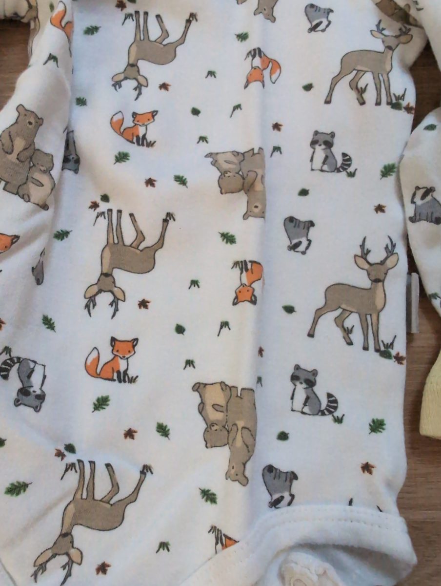 4er Set Langarm Bodies 2