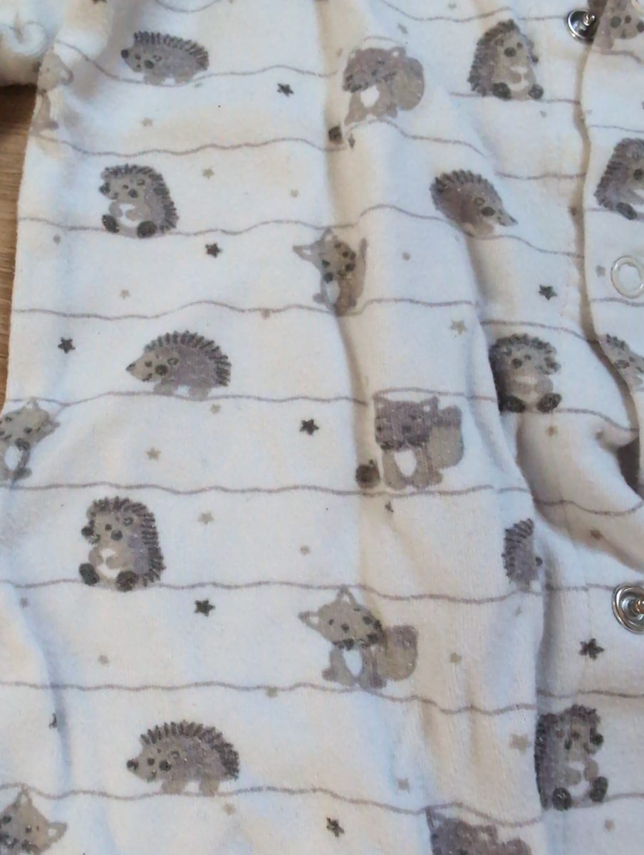 2er Set Schlafanzüge mit Igel-Motiv 2