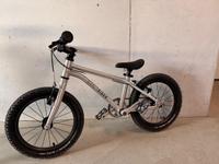 Early Rider Belter 16 1