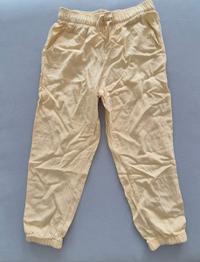 Sommerhose 1