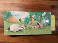 Wer hat sich hier versteckt? - Ravensburger Suchbuch 3