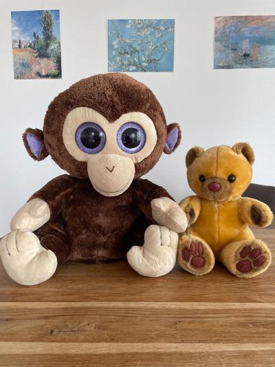 Plüschtiere: Affe und Bär